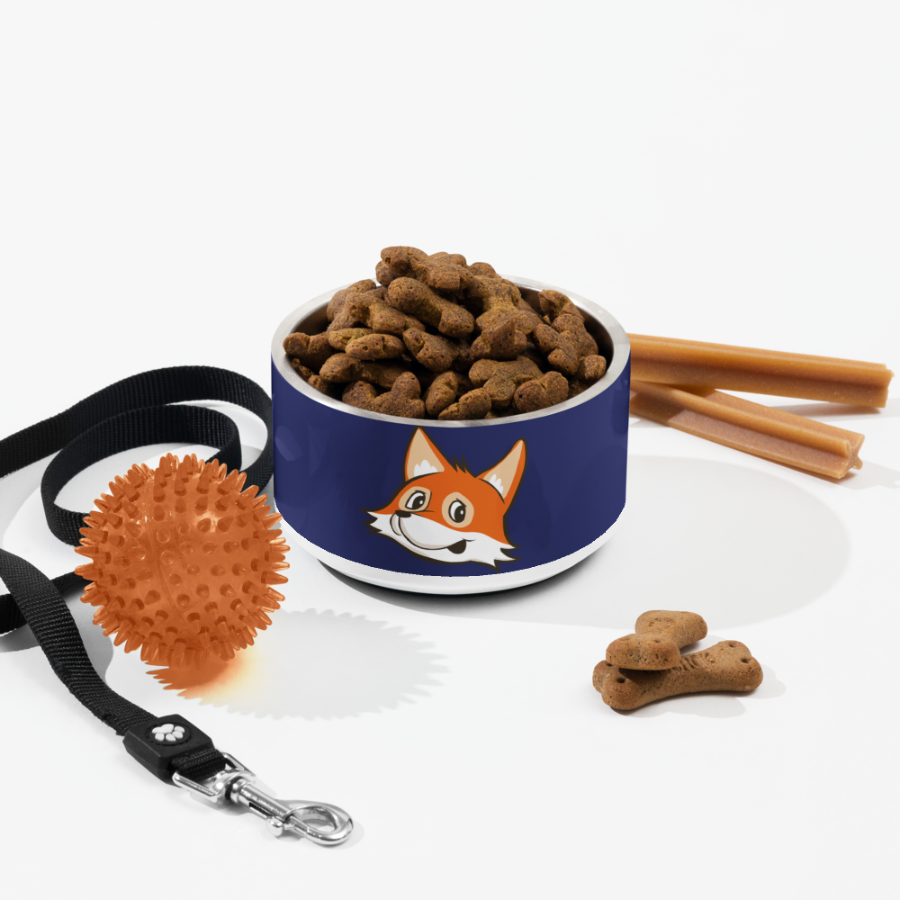 FOX Weather Sonny Pet Bowl