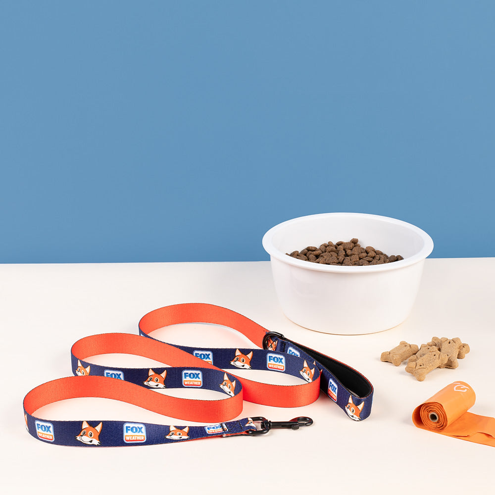 FOX Weather Sonny Pet Leash