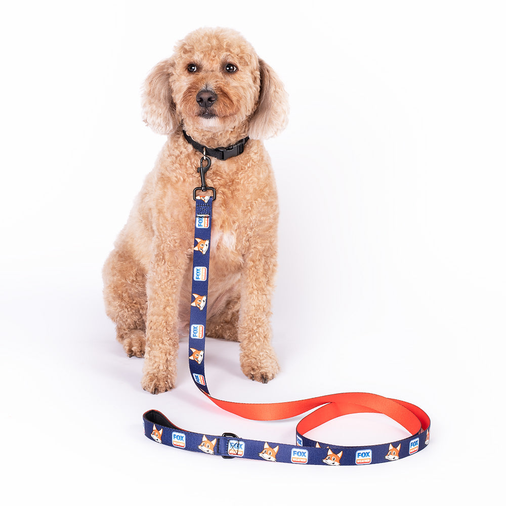 FOX Weather Sonny Pet Leash