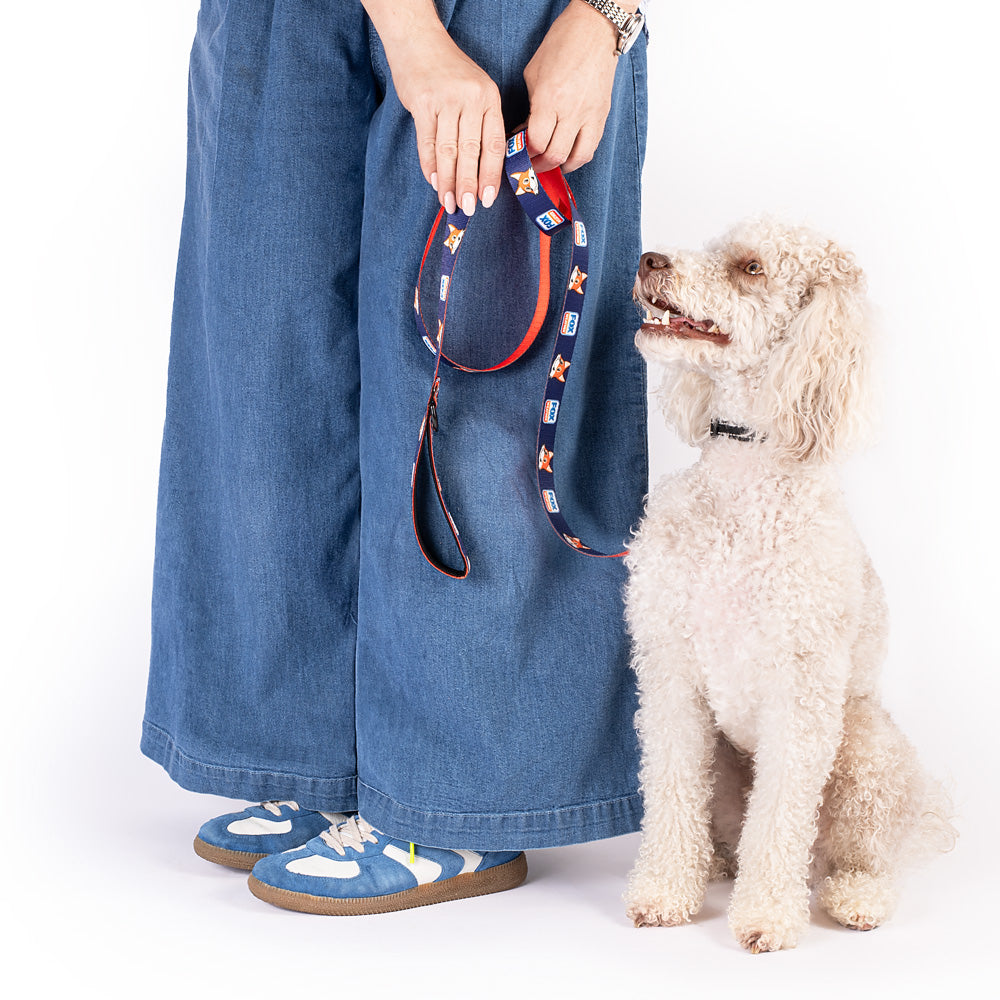 FOX Weather Sonny Pet Leash