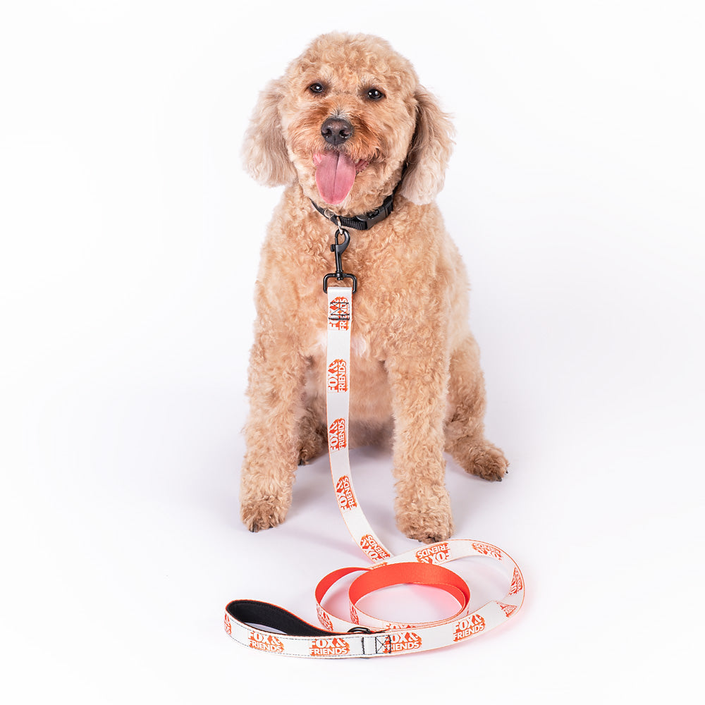 FOX & Friends Pet Leash