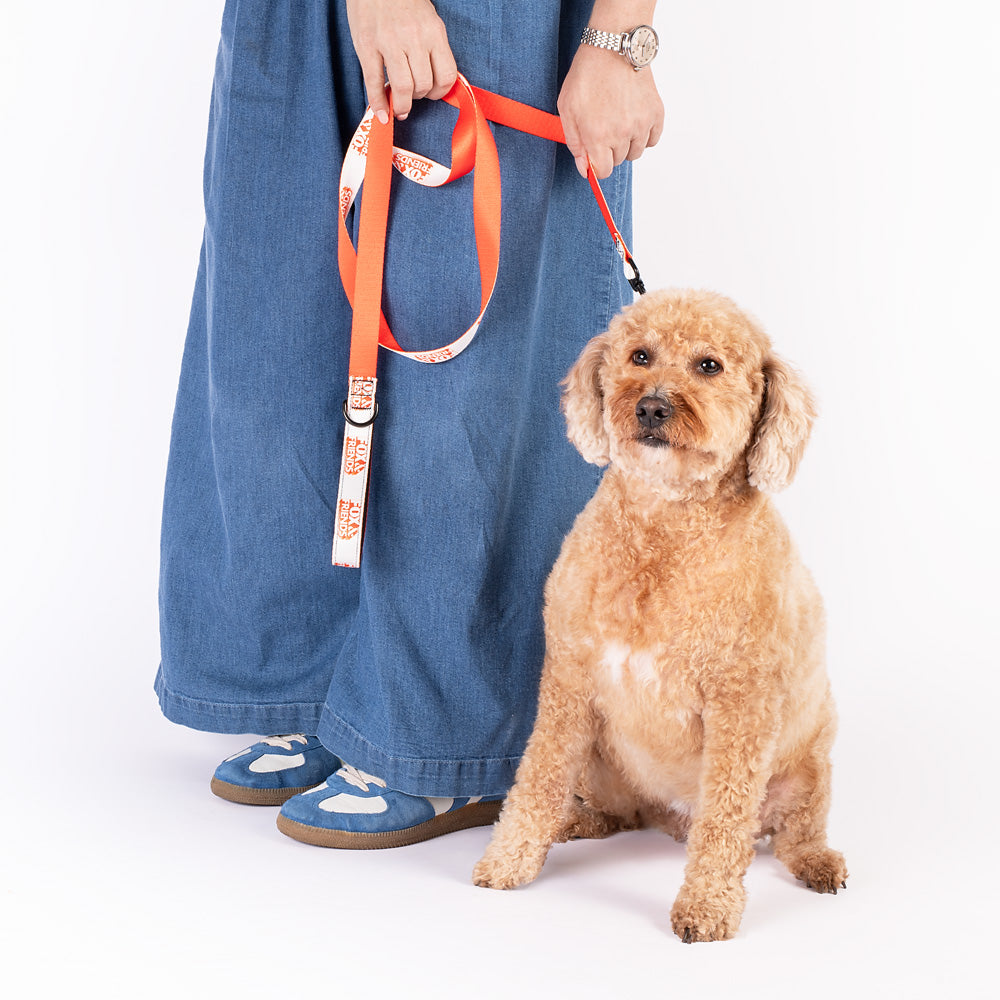 Gutfeld! Pet Leash