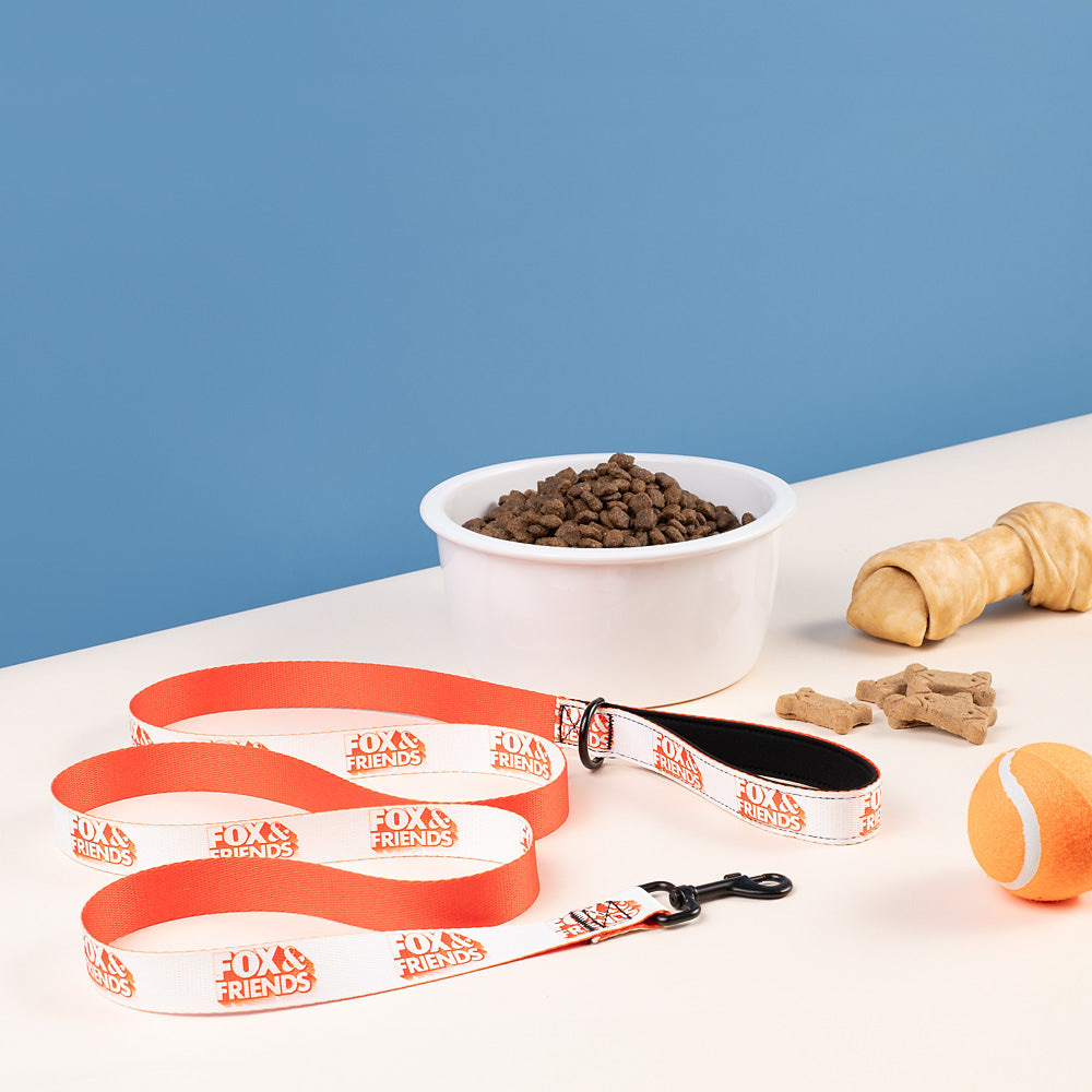 FOX & Friends Pet Leash