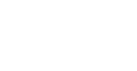 FOX & Friends Pet Bowl
