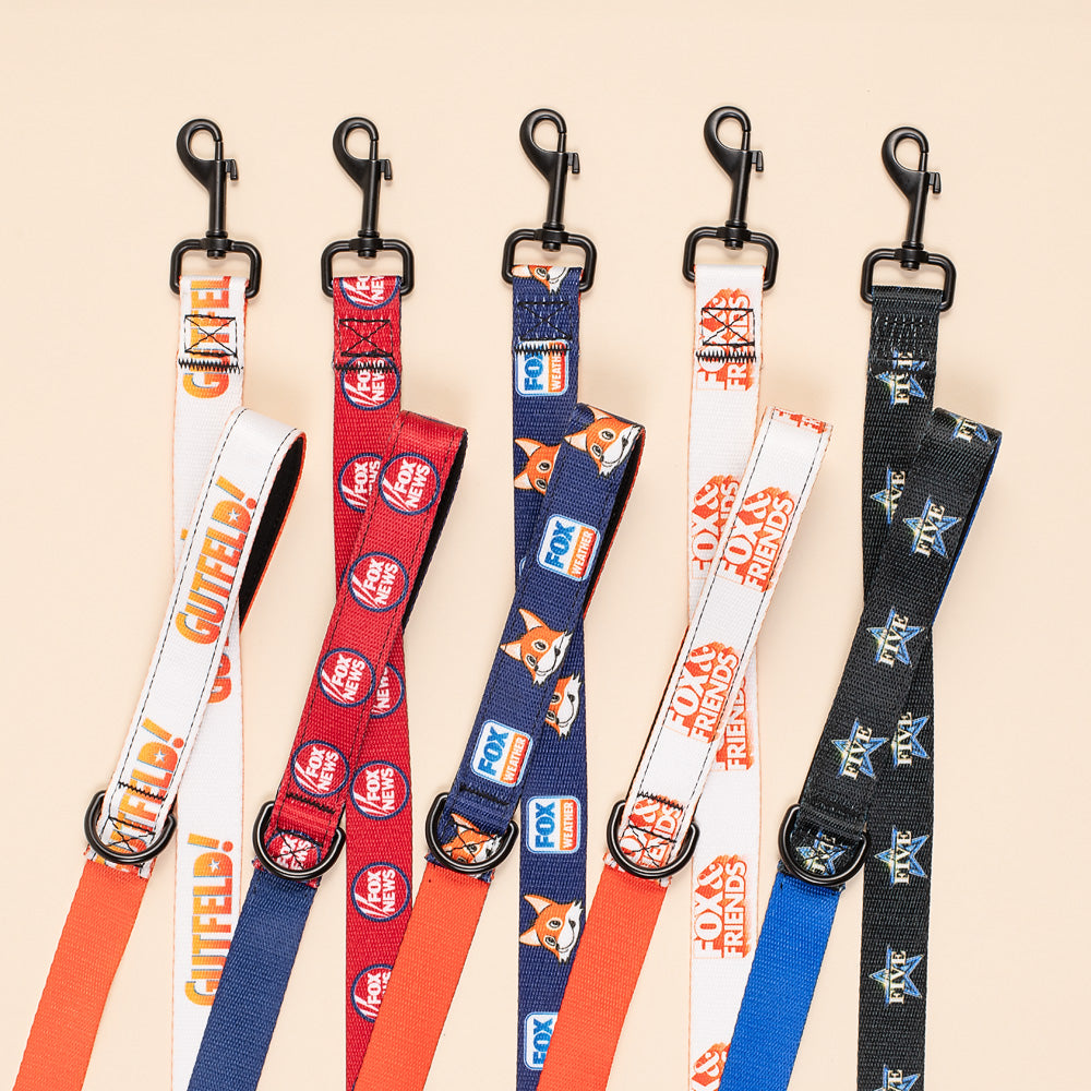 FOX Weather Sonny Pet Leash