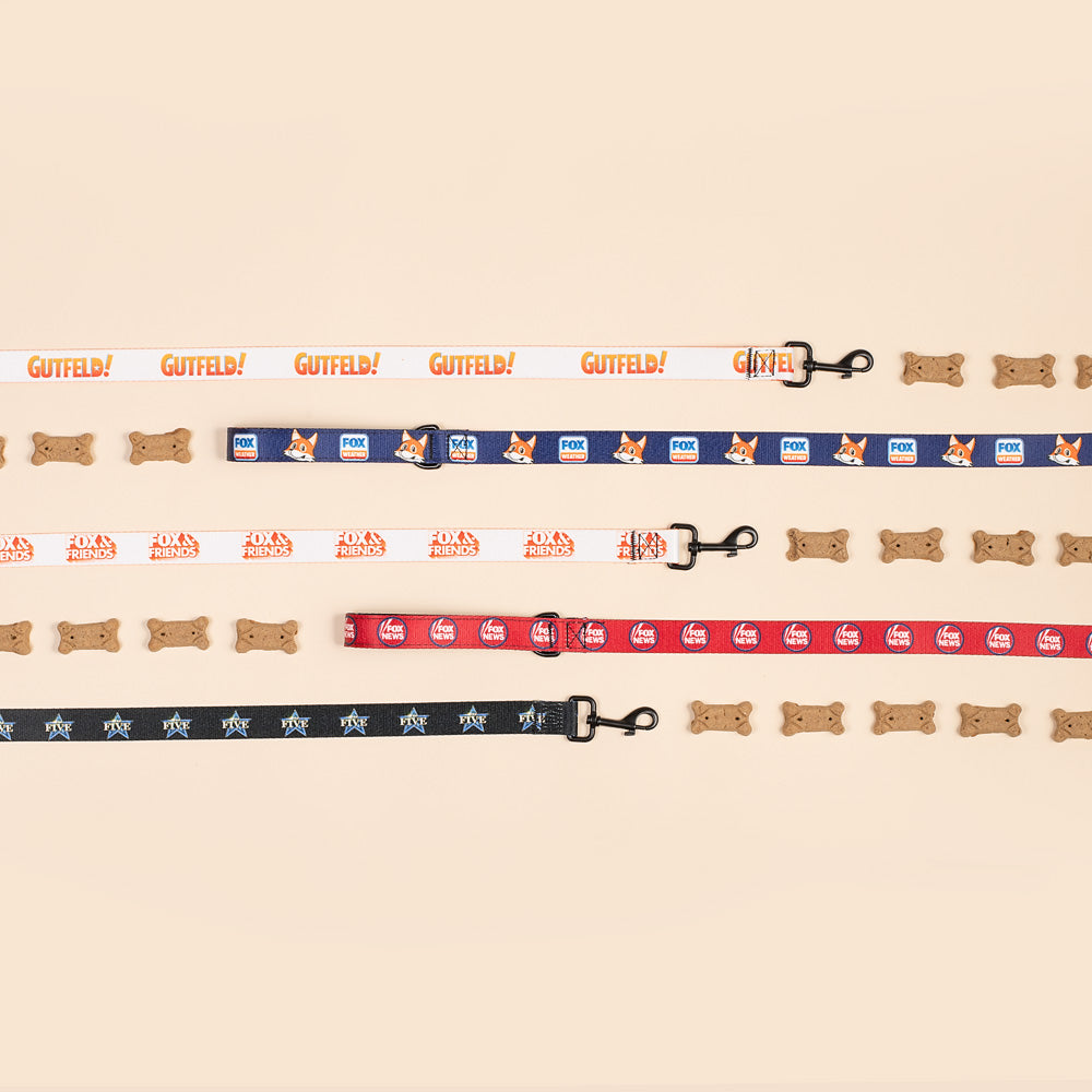 FOX Weather Sonny Pet Leash
