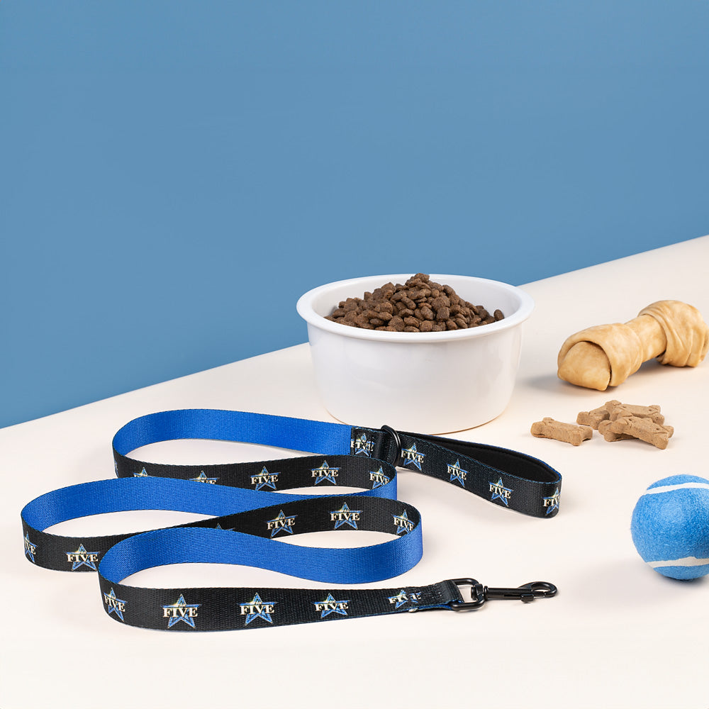 The Five Pet Leash