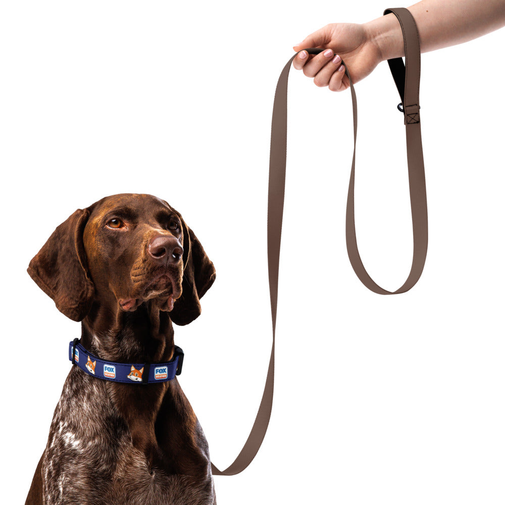 FOX Weather Sonny Pet Collar