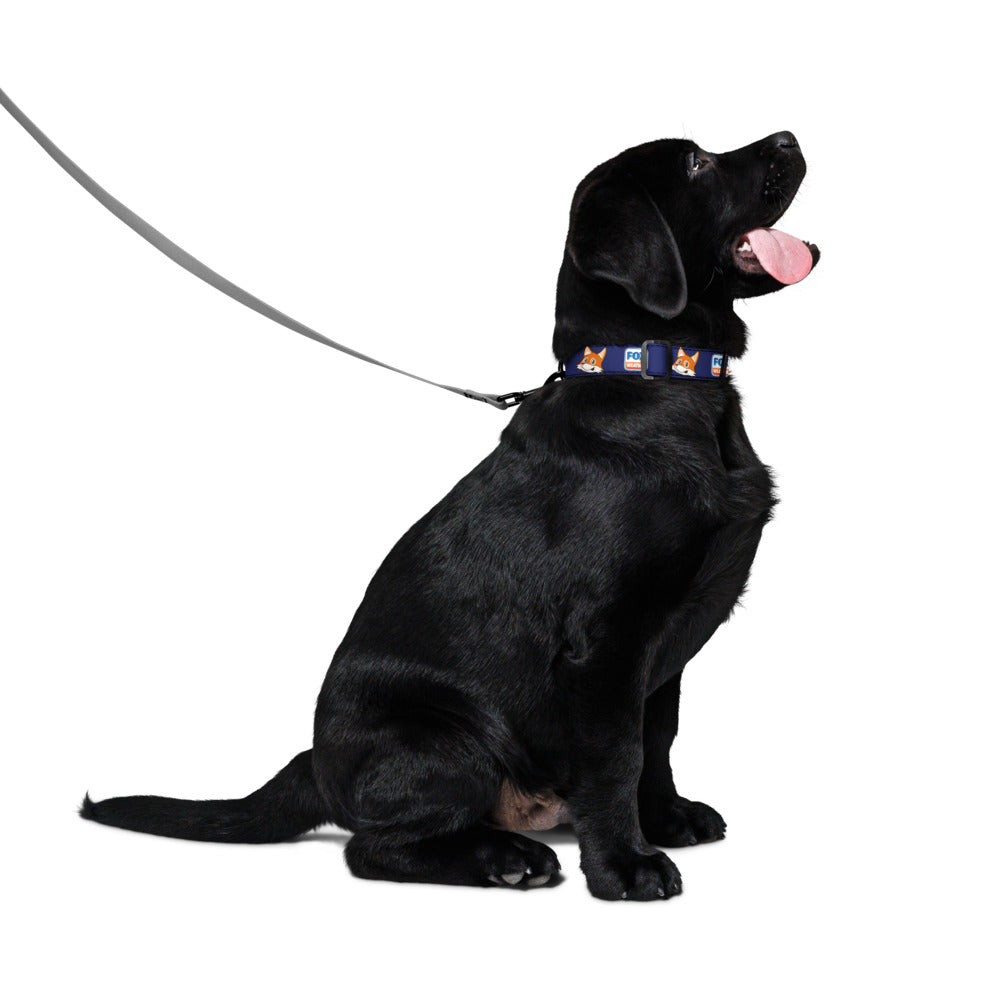 FOX Weather Sonny Pet Collar