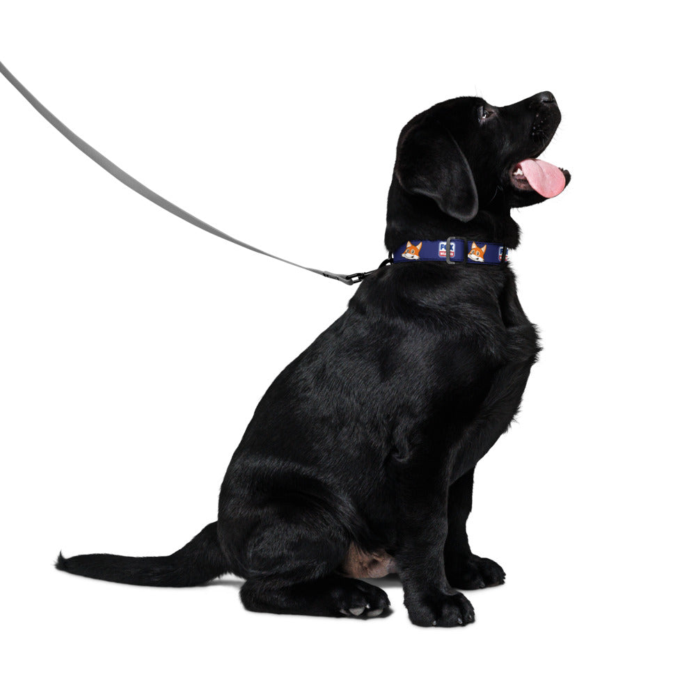 FOX Weather Sonny Pet Collar