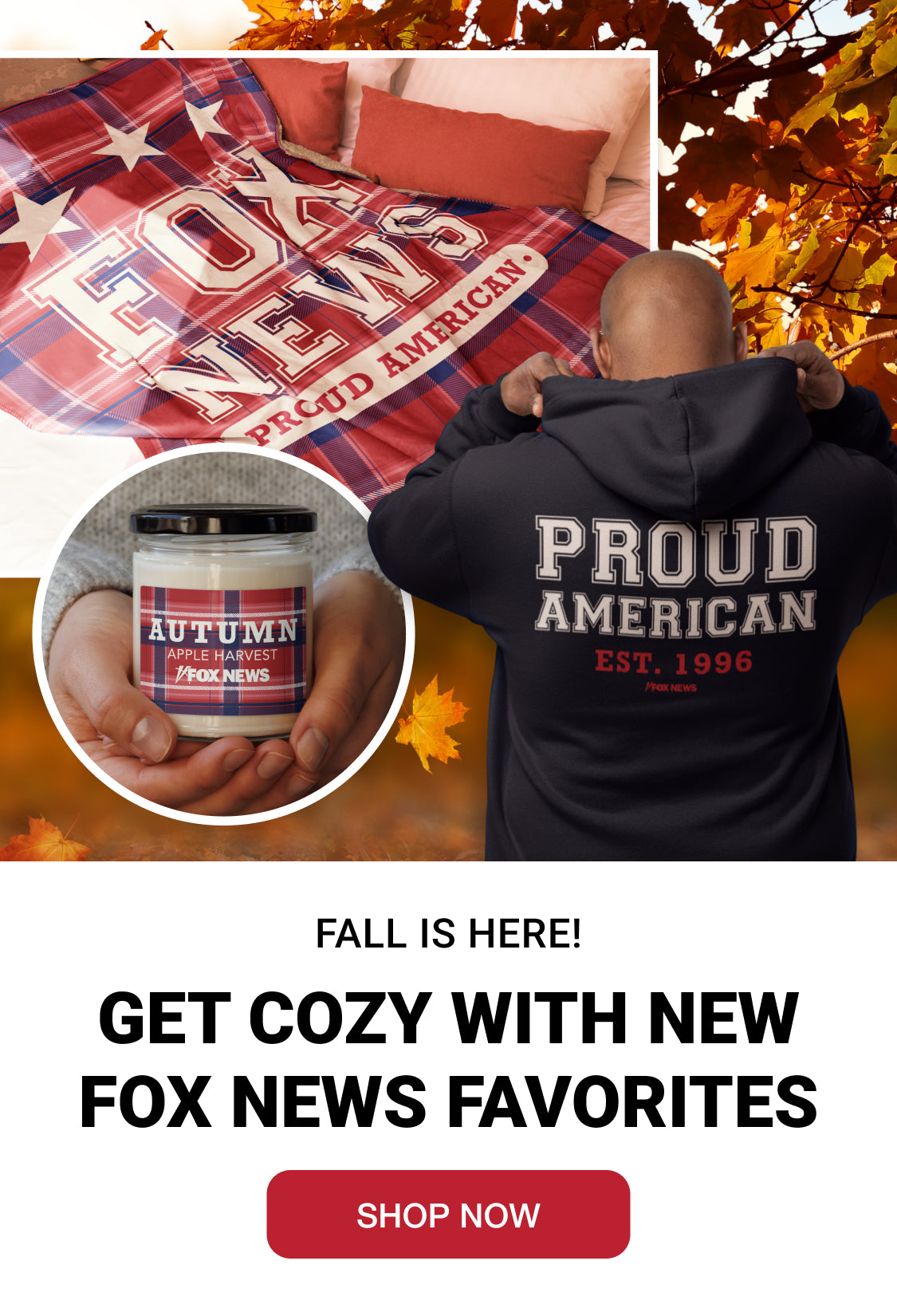 Link to /collections/cozy-classics