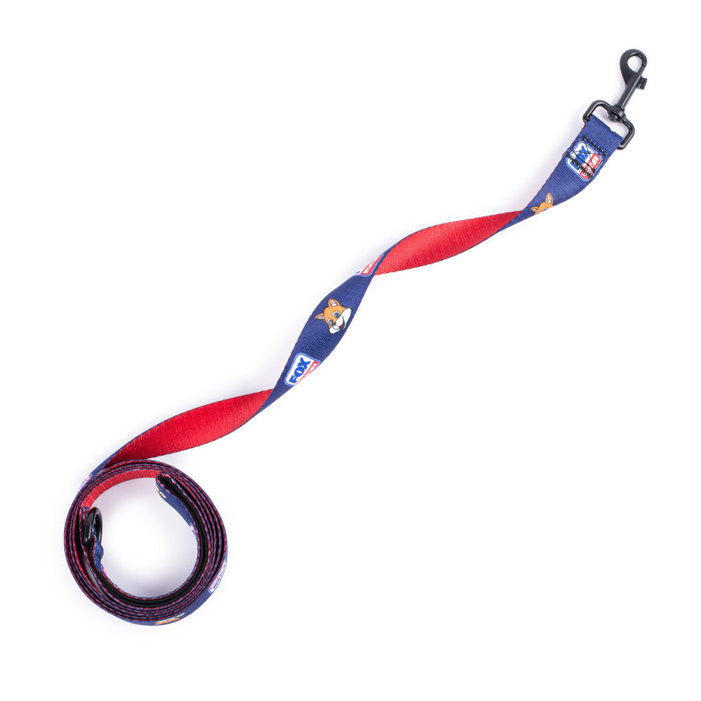 FOX Weather Sonny Pet Leash
