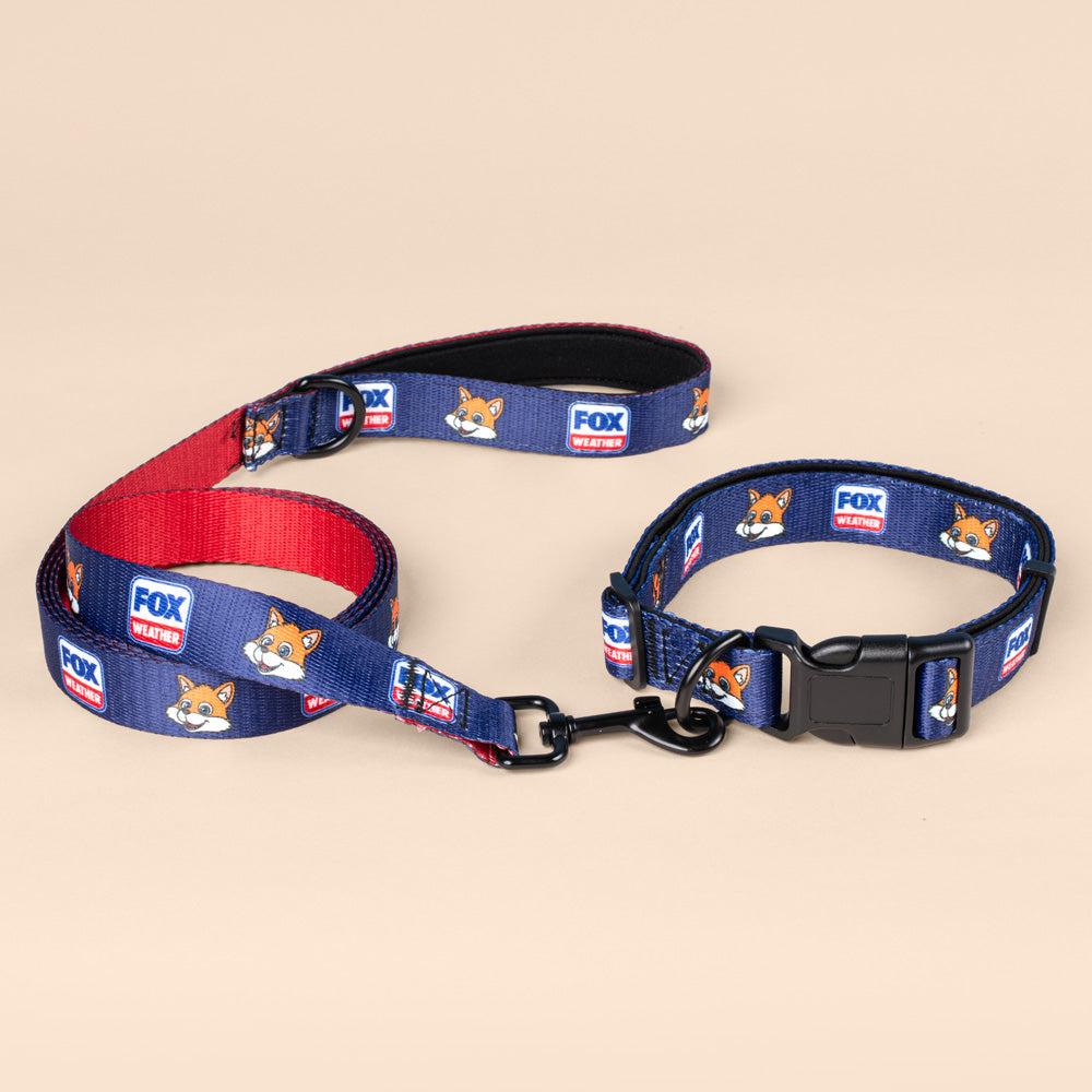 FOX Weather Sonny Pet Leash