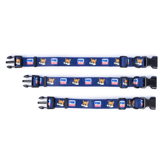 FOX Weather Sonny Pet Collar
