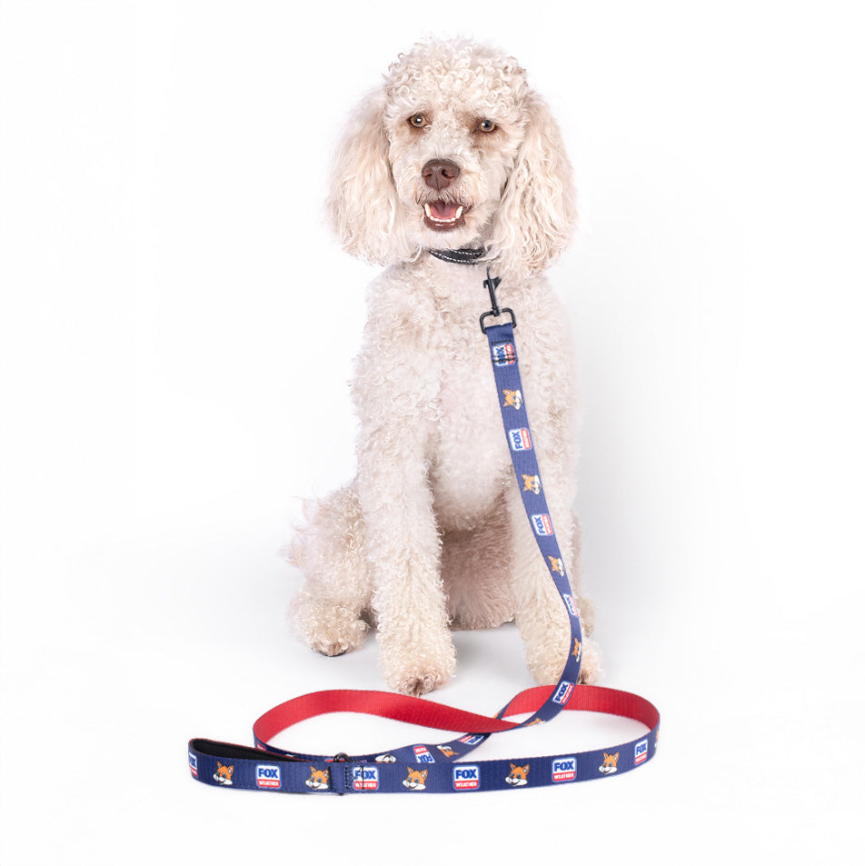 FOX Weather Sonny Pet Leash