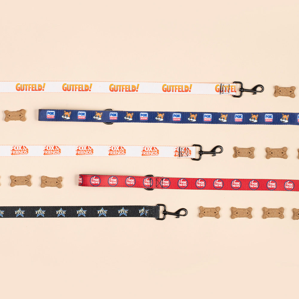 FOX Weather Sonny Pet Leash