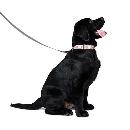 FOX & Friends Logo Pet Collar M