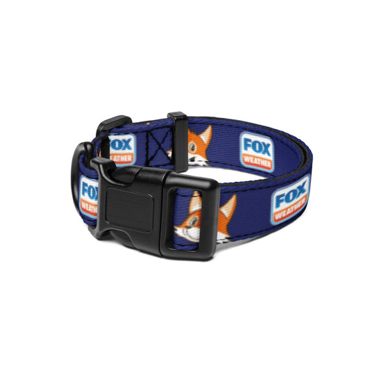 FOX Weather Sonny Pet Collar