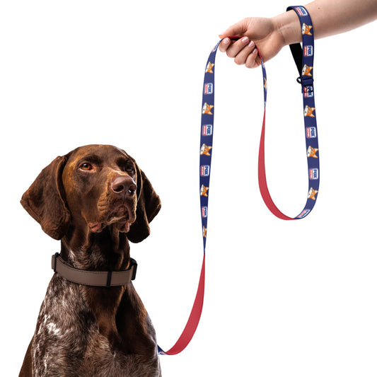 FOX Weather Sonny Pet Leash